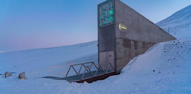 how-long-do-seeds-live-a-100-year-experiment-in-a-global-seed-vault-in