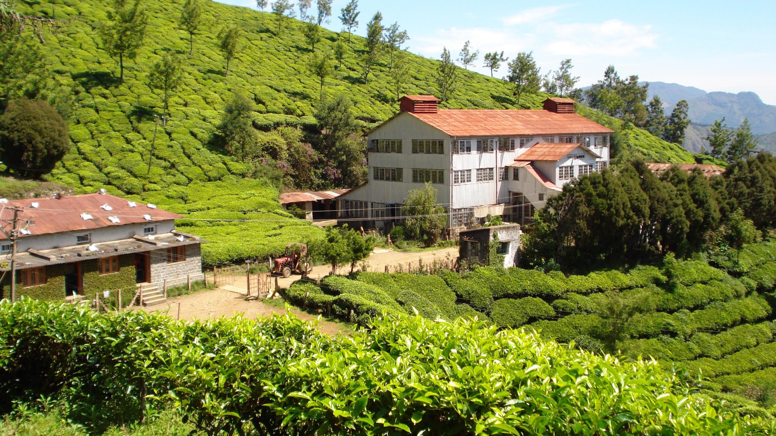 Kolukkumalai Have You Been To The Highest Tea Estate In The World